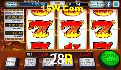 Interface Premium 28R